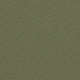 Clarke & Clarke MALONE MOSS Upholstery Fabric