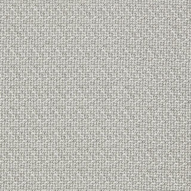 Clarke & Clarke MALONE SILVER Upholstery Fabric