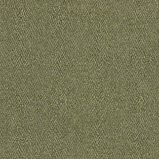 Clarke & Clarke ROWLAND MOSS Upholstery Fabric