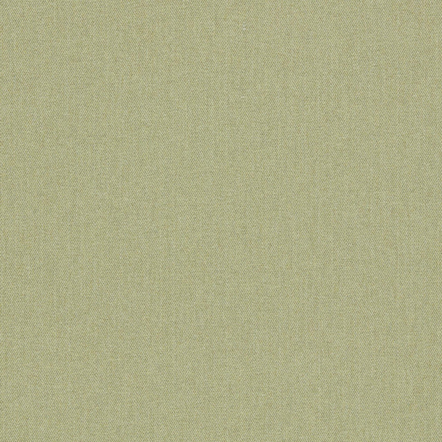 Clarke & Clarke ROWLAND OLIVE Upholstery Fabric