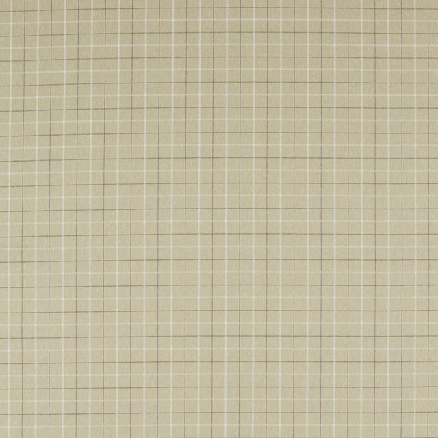 Clarke & Clarke THORNTON FLAX Upholstery Fabric