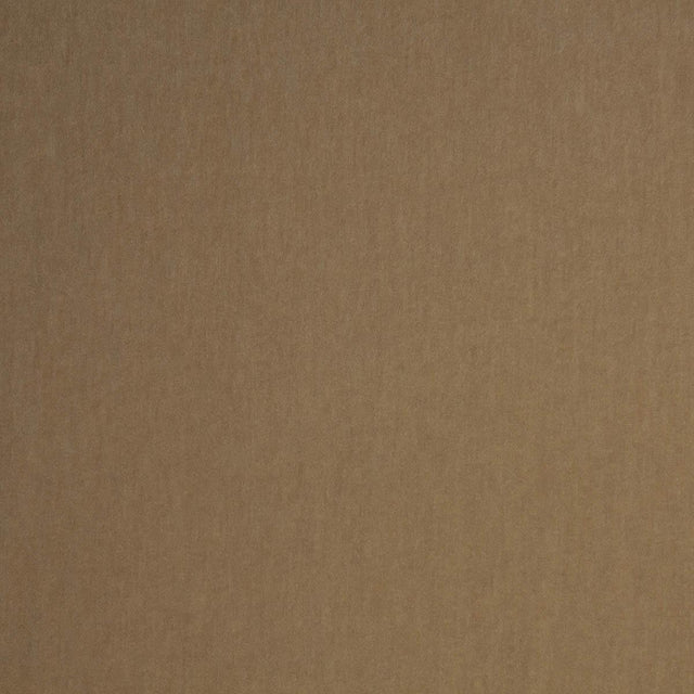 Lizzo LIVORNO 12 Upholstery Fabric
