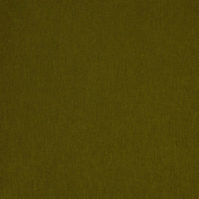 Lizzo LIVORNO 13 Upholstery Fabric