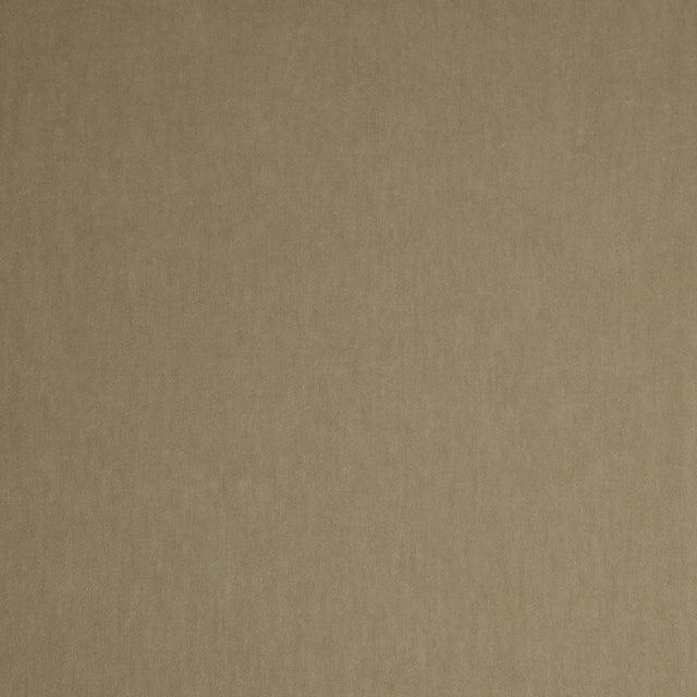 Lizzo LIVORNO 46 Upholstery Fabric