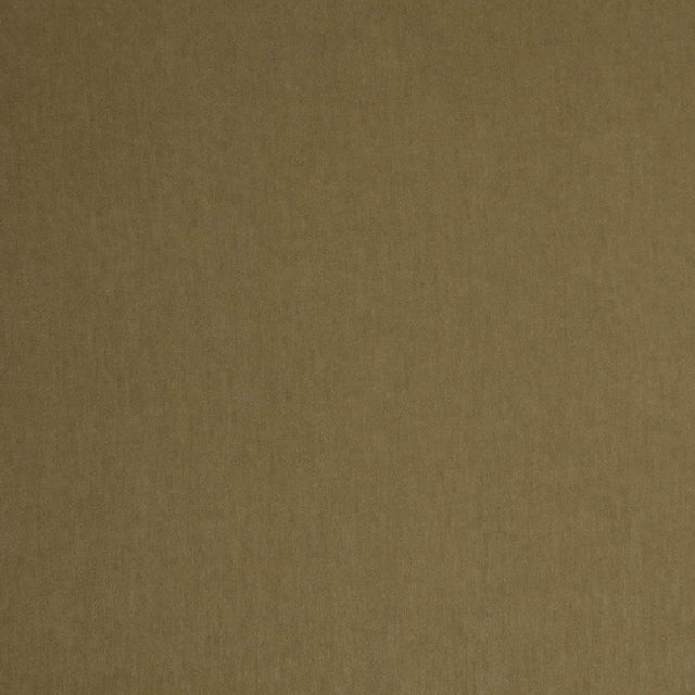 Lizzo LIVORNO 56 Upholstery Fabric