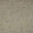Lizzo GRAVEL 06 Drapery Fabric