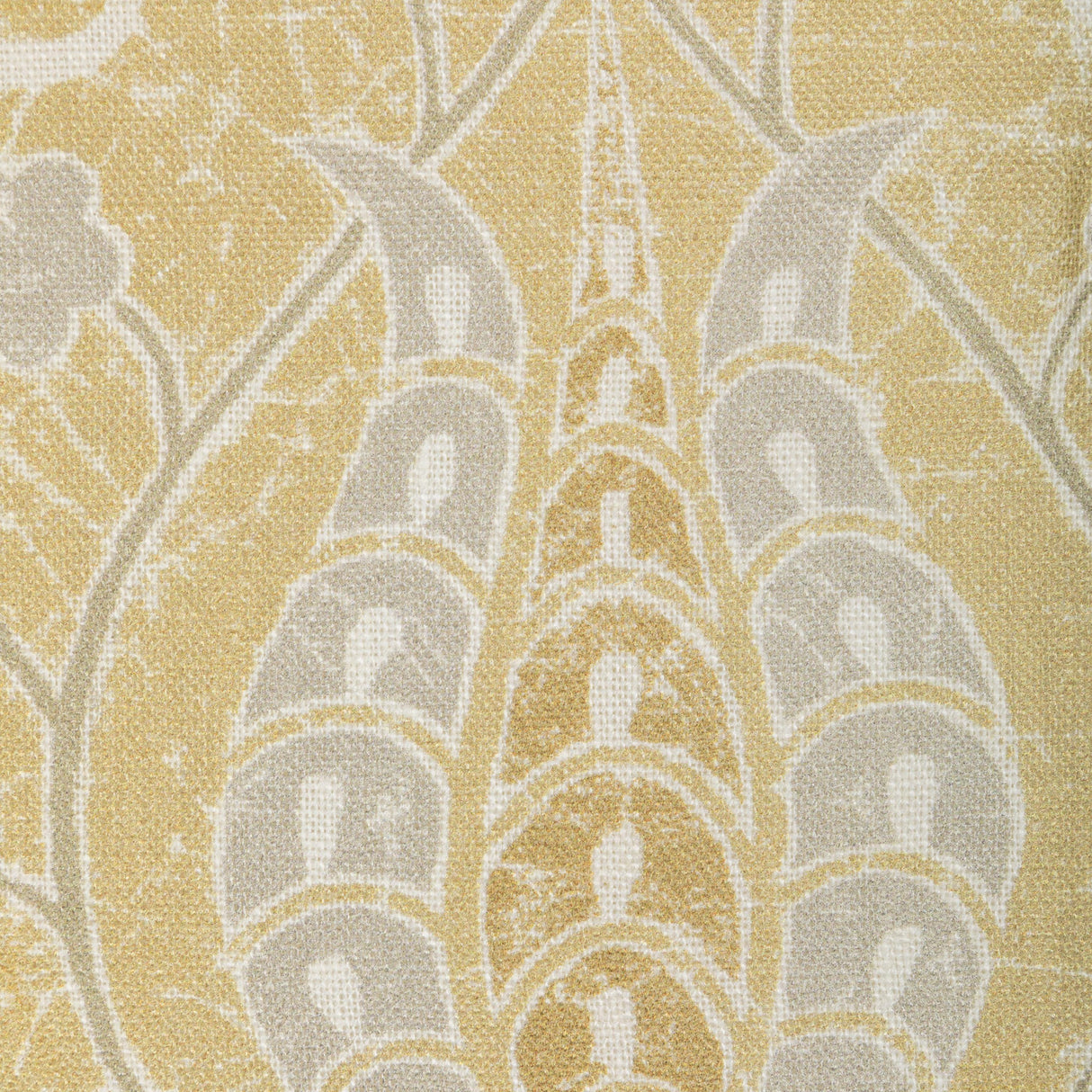 Kravet SAN POLO MAIZE Fabric