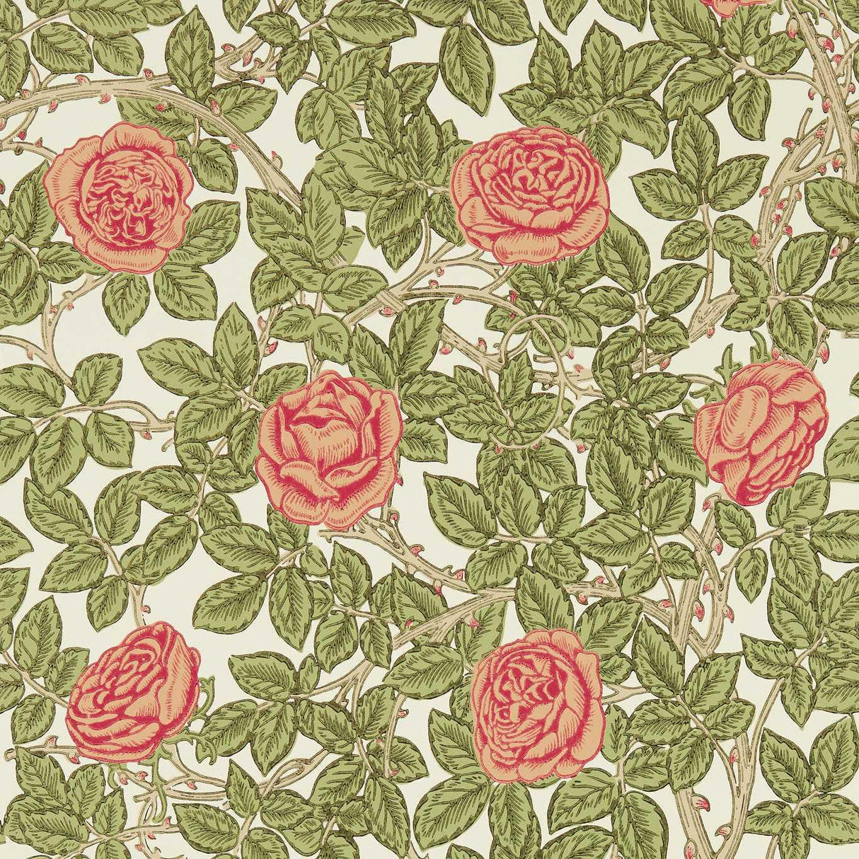 Morris & Co Rambling Rose Twining Vine Wallpaper