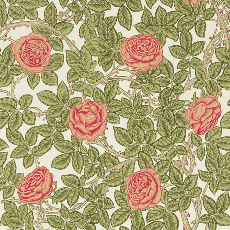Morris & Co Rambling Rose Twining Vine Wallpaper