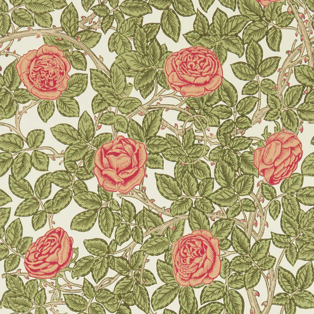 Morris & Co Rambling Rose Twining Vine Wallpaper