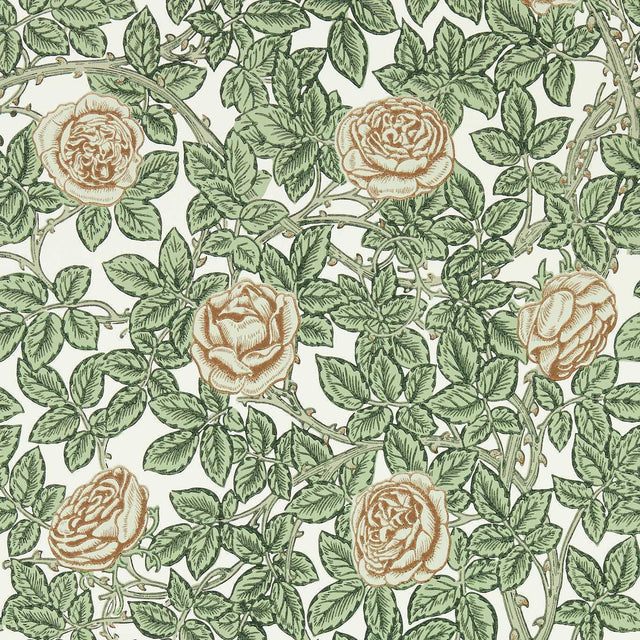 Morris & Co Rambling Rose Leafy Arbour/Pearwood Wallpaper