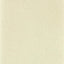Sanderson Sessile Plain Birch/Multi Wallpaper