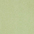 Sanderson Sessile Plain Moss Green Wallpaper