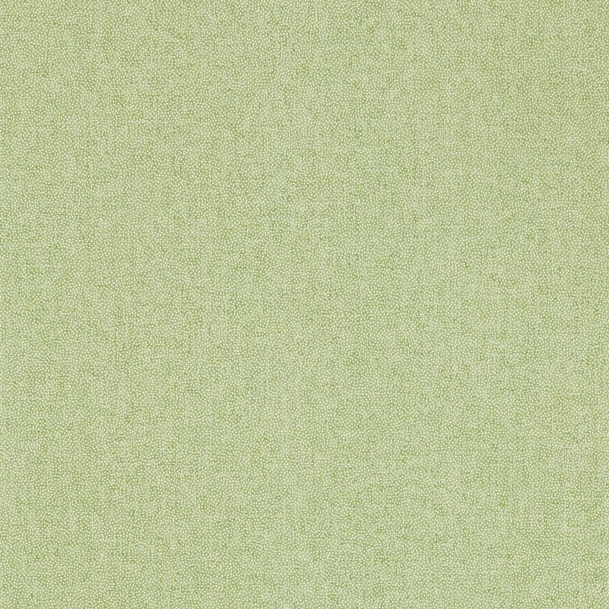 Sanderson Sessile Plain Moss Green Wallpaper
