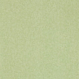 Sanderson Sessile Plain Moss Green Wallpaper