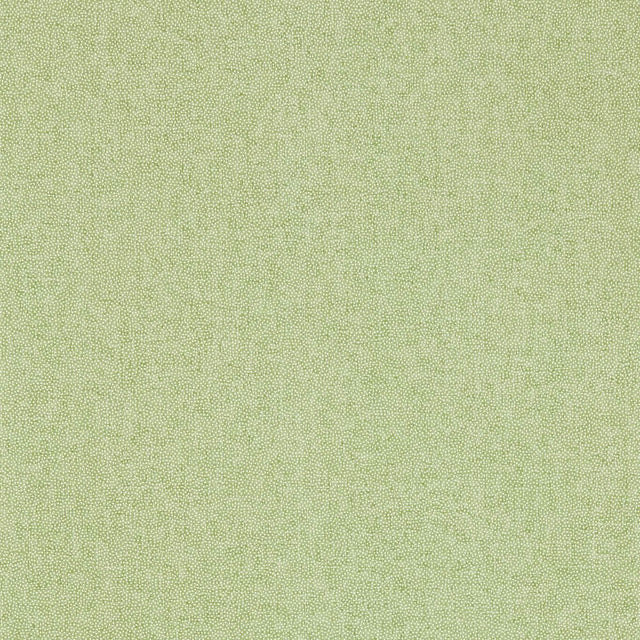 Sanderson Sessile Plain Moss Green Wallpaper