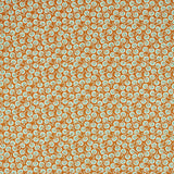 Sanderson Fern Frond Rowan Berry Fabric