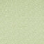 Sanderson Truffle Sap Green Fabric