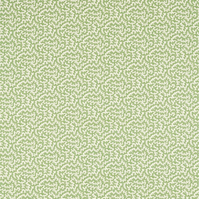 Sanderson Truffle Sap Green Fabric
