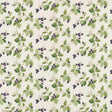 Sanderson Rubus Blackberry Fabric