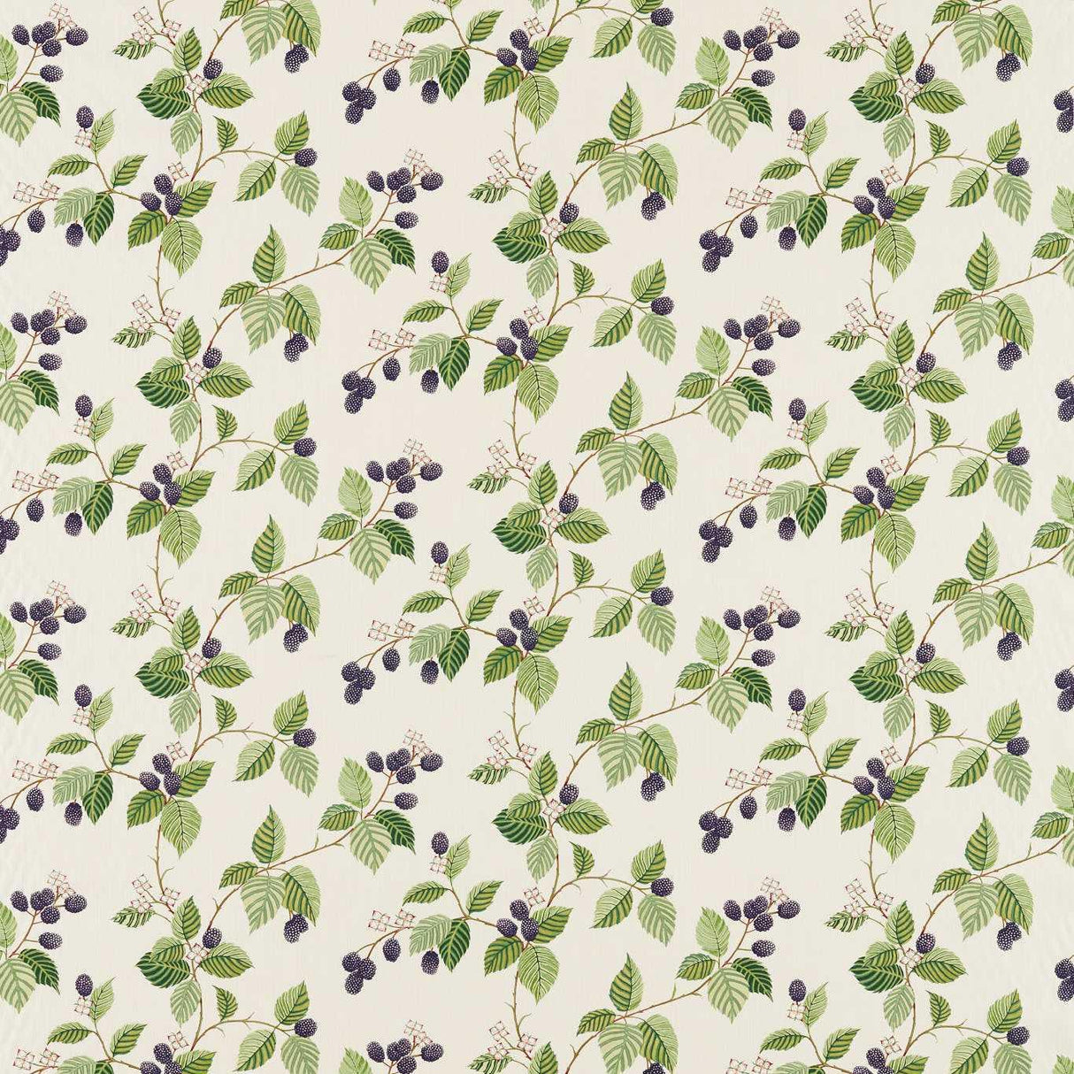Sanderson Rubus Blackberry Fabric