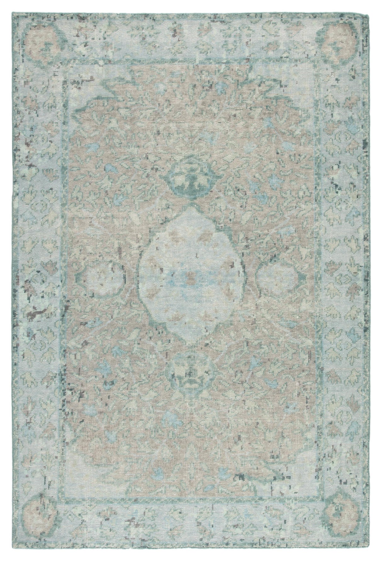 Jaipur Living Kai Alessia Border Aqua / Beige 9' x 13' Rug