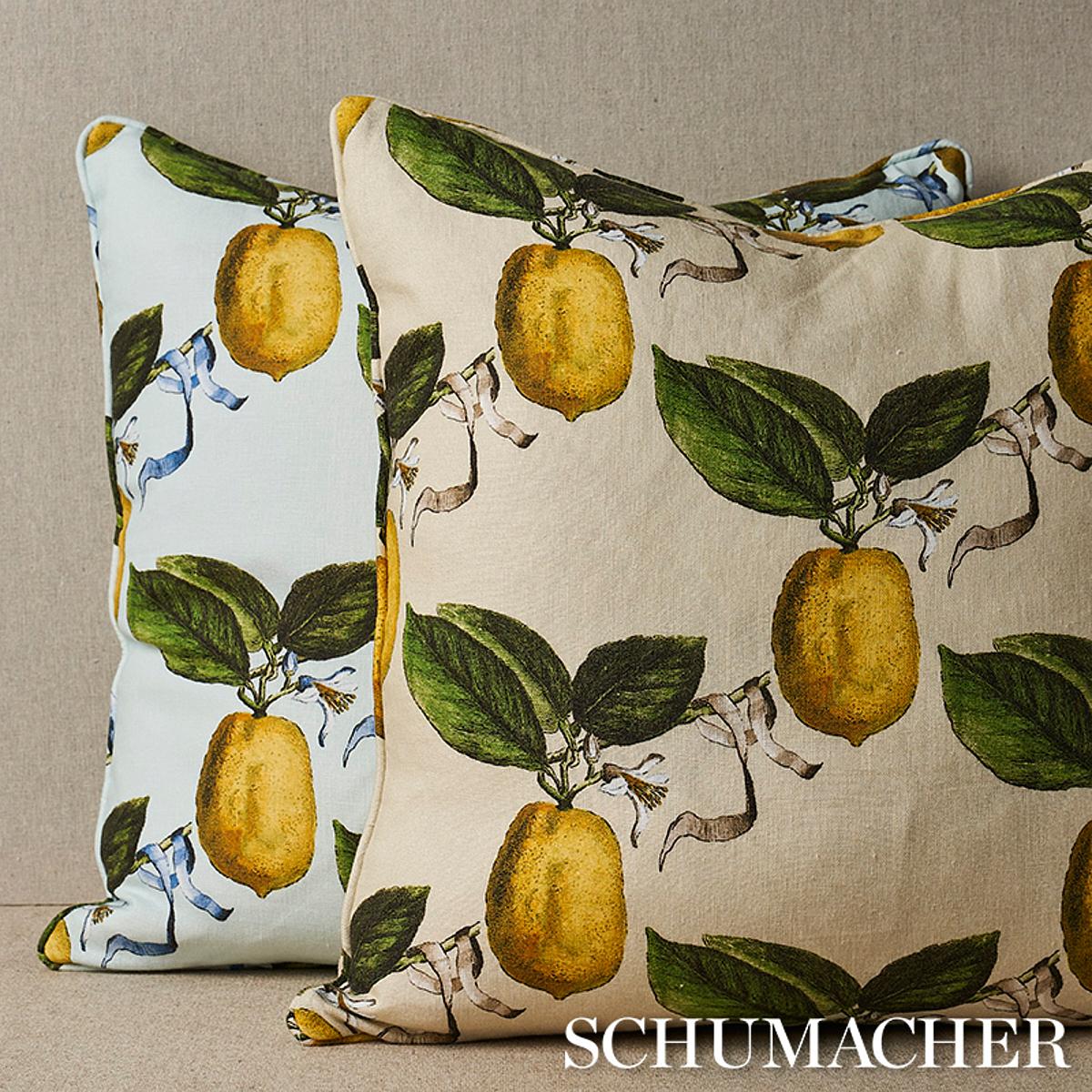 Schumacher Le Citron Sky 20" x 20" Pillow