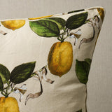 Schumacher Natural 20" x 20" Le Citron Pillow