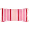 Schumacher Minzer Cotton Stripe Pink 24
