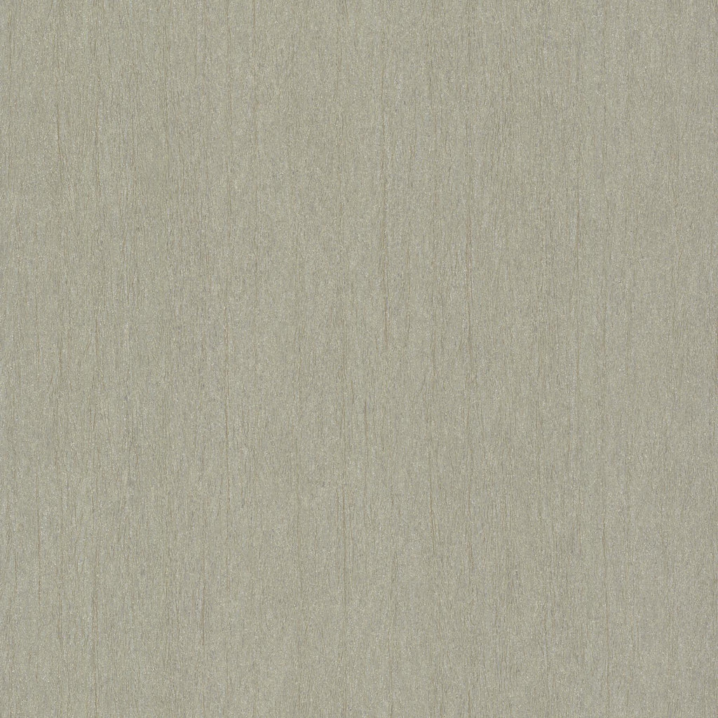 Antonina Vella Natural Texture Silver/Gold Wallpaper