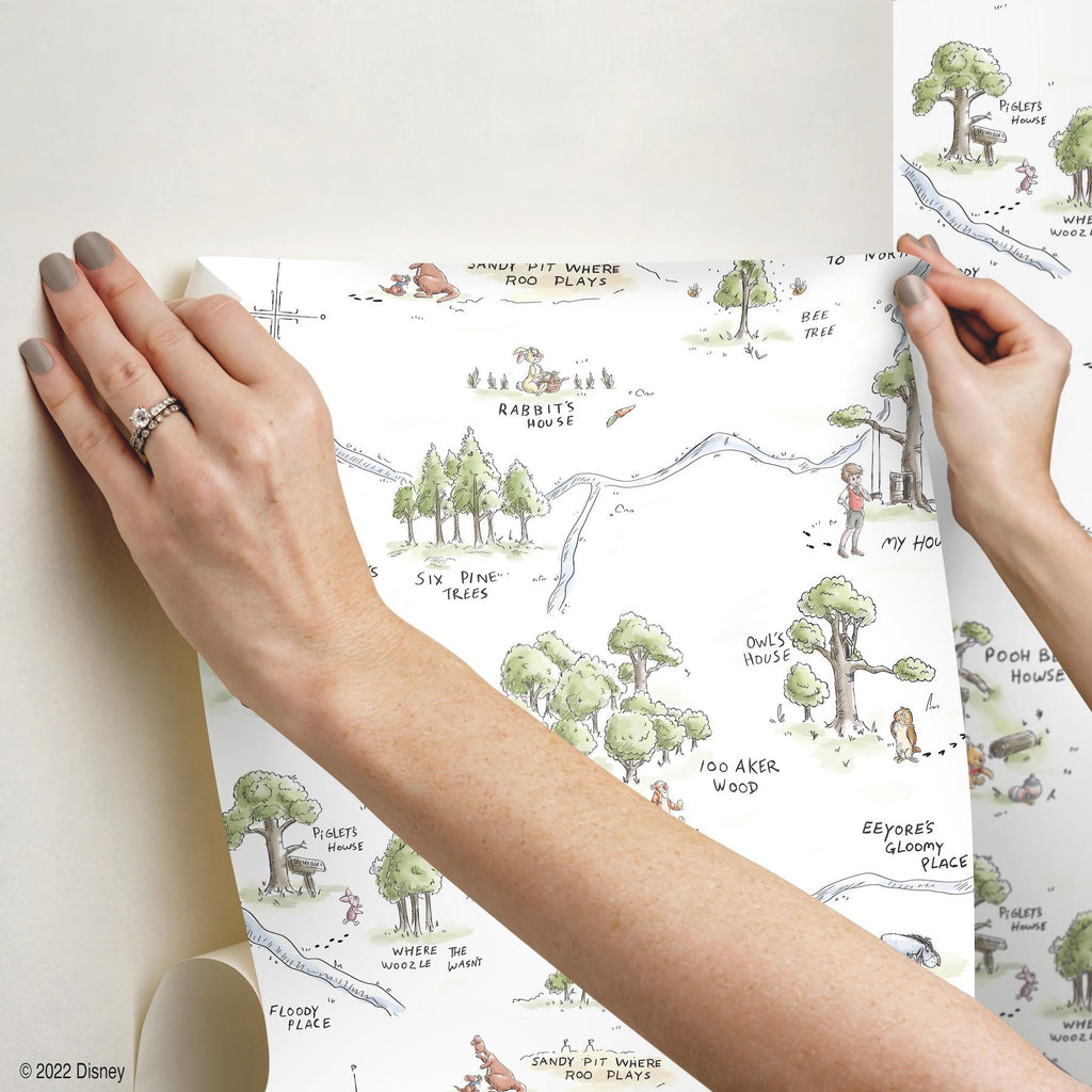 RoomMates Winnie The Pooh 100 Acre Wood Map Peel And Stick Multi Wallpaper