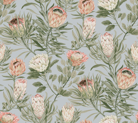 York Protea Dusty Blue & Coral Wallpaper