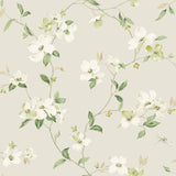 York Dogwood Light Grey Wallpaper
