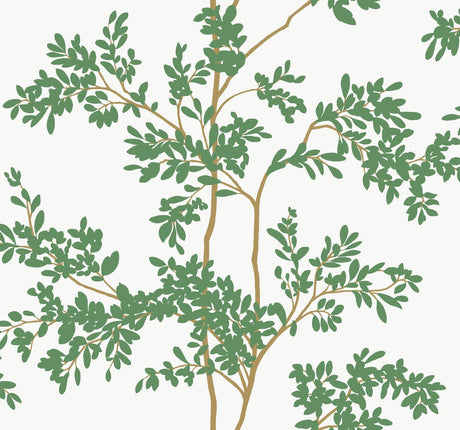 York Lunaria Silhouette White & Green Wallpaper