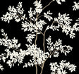 York Lunaria Silhouette Black & White Wallpaper