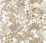 York Forest Floor Neutral Wallpaper