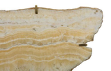 Phillips Collection Gem Wall Tile in Brass Setting Sand Onyx Wall Art