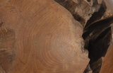 Phillips Collection Teak Wood Ball, Medium Brown Accent