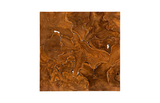 Phillips Collection Teak Slice Square Coffee Table