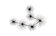 Phillips Collection Sea Root Wall Art Black Accent