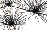 Phillips Collection Sea Root Wall Art Black Accent