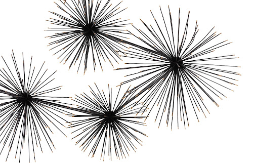 Phillips Collection Sea Root Wall Art