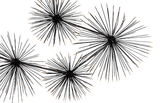 Phillips Collection Sea Root Wall Art Black Accent