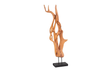 Phillips Collection Mahogany Wood Sculpture Table Top Size Shape Styles Vary Tabletop