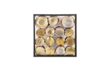 Phillips Collection Paint Can Wall Art Square Assorted Colors SM Accent