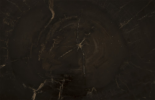 Phillips Collection Petrified Wood SS Legs Assorted Coffee Table