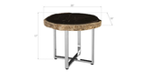 Phillips Collection Petrified Wood SS Legs Assorted Coffee Table