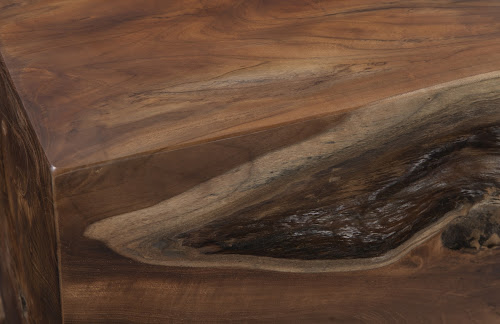 Phillips Collection Teak Root Brown Side Table