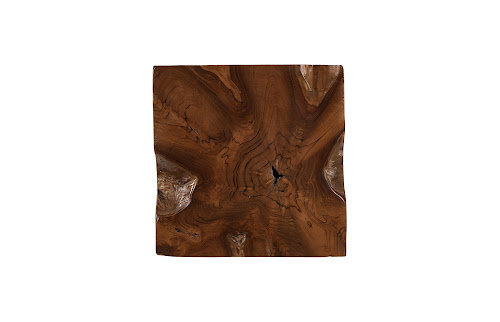 Phillips Collection Teak Root Brown Side Table