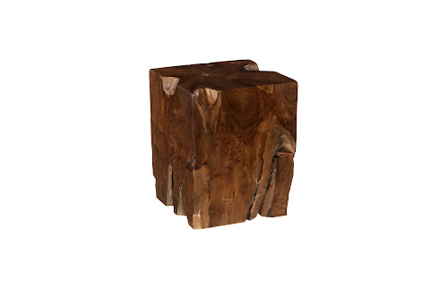 Phillips Collection Teak Root Brown Side Table